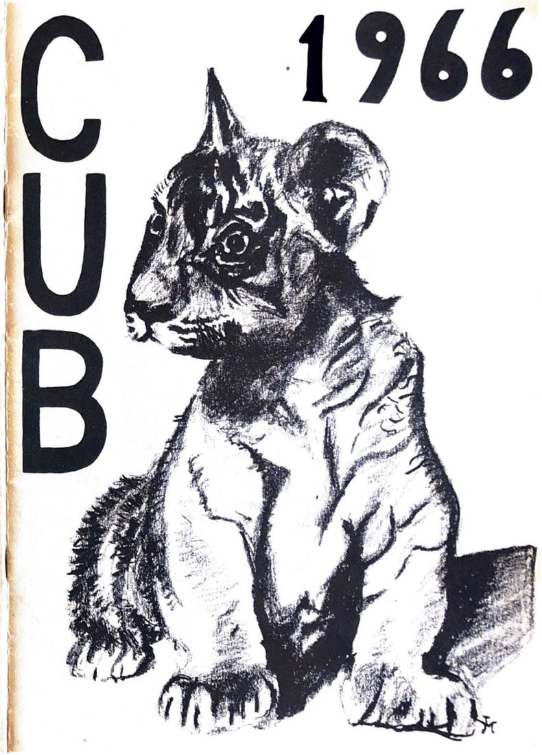 Cover of The Cub 1966